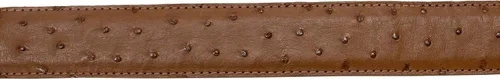 Vista 7 de Paquete Exótico Cuero Genuino Avestruz Cinturón y Cartera Color Coñac