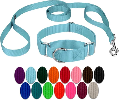 Vista 13 de Country Brook Design - Collar de perro de nailon Martingale y correa de doble asa-Negro-S