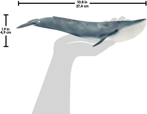 Vista 7 de Schleich Wild Life - Figurina realista de ballena azul, juguete de animal acuático auténtico y altamente detallado, duradero para la educación