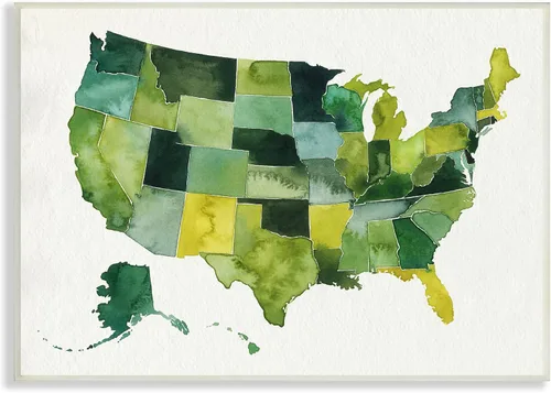 Vista 11 de Stupell Industries Mapa de acuarela verde de Estados Unidos, pintura moderna, arte de pared enmarcado negro, 14 x 11 pulgadas