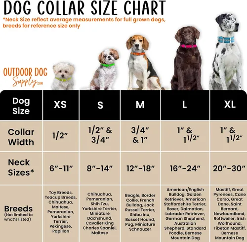 Vista 4 de Outdoor Dog Supply Collar de perro con anillo en D impermeable reflectante resistente de 1 pulgada para perros medianos y grandes con placa