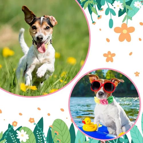 Vista 7 de Paquete de 4 collares de flores para perros pequeños y hembras