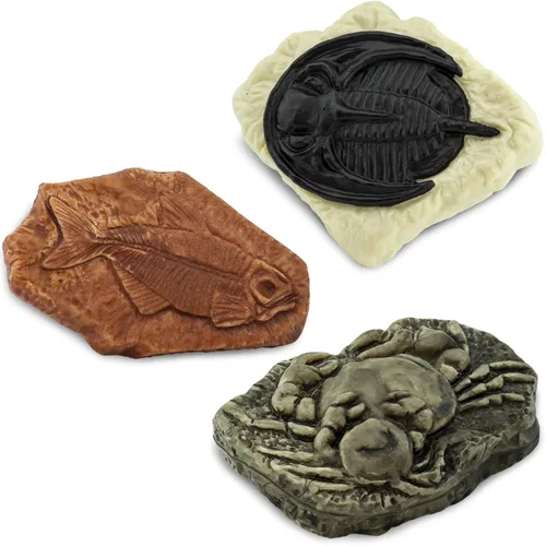 Vista 5 de Safari Ltd. Fósiles antiguos TOOB - Figurillas: huella de dinosaurio, cangrejo gigante, amonita, garra de raptor, diente de T-Rex, esqueleto