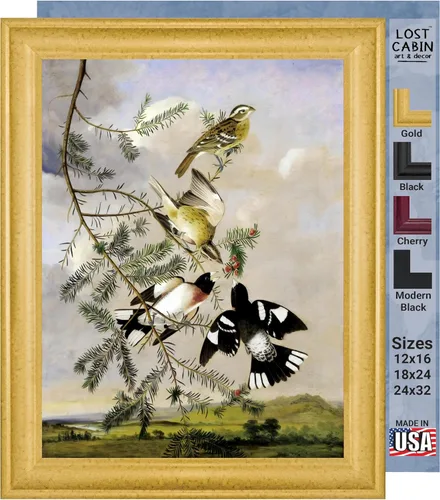 Vista 15 de Lost Cabin American Flamingo por James Audubon Impresión en marco biselado negro Reproducción de pintura de obras de arte finas Póster