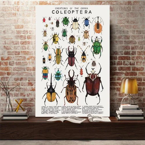 Vista 5 de Póster de lienzo de animales para pared, imágenes de animales, guía de coleópteros, insectos, escarabajos, impresiones de conocimiento, estética