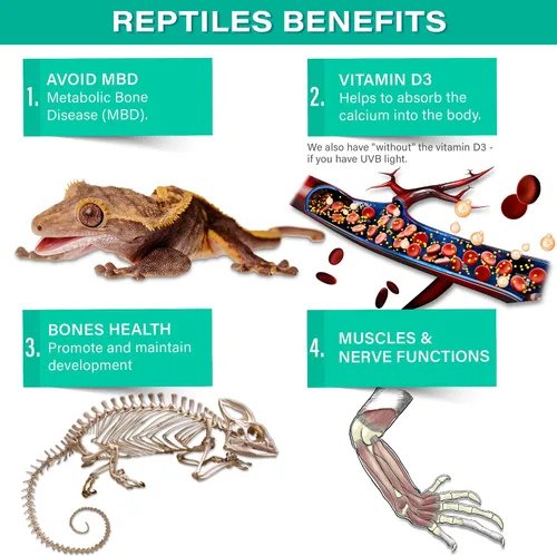 Vista 4 de Gargeer 4 onzas de calcio reptil con vitamina D3, sin fósforo, polvo ultrafino. Polvo puro, mezcla de frutas reales saborizadas, suplemento listo