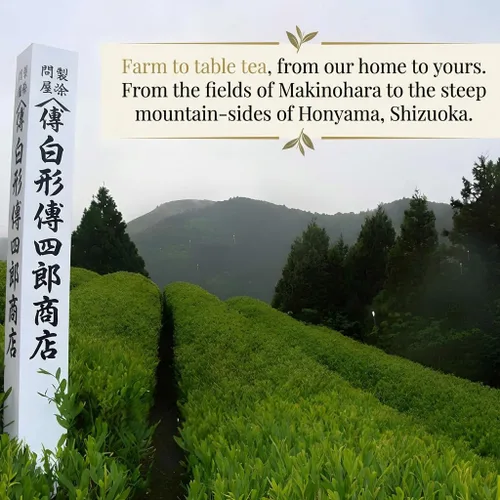 Vista 6 de [Den's Tea] Bolsas de té piramidales, auténtico té verde japonés de Shizuoka, Japón (paquete de 12) (Gyokuro (100 unidades)