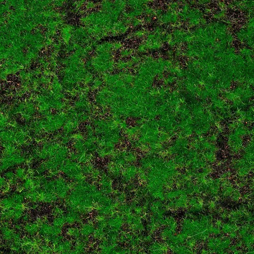 Vista 2 de Vickerman FE172701 Alfombrilla de musgo para uso diario