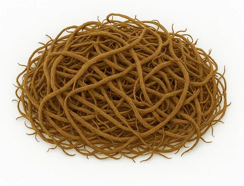 Vista 2 de Raíz de Valeriana Seca Orgánica (Valeriana Officinalis) 2 oz