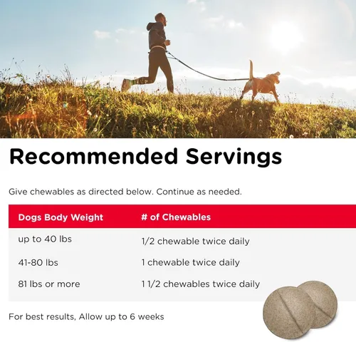 Vista 5 de Nutri-Vet Suplementos para perros de fuerza regular para cadera y articulaciones, formulados con glucosamina condroitina, suministros para mascotas