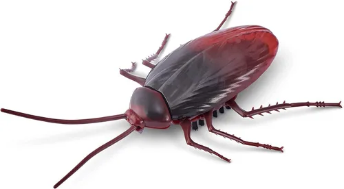 Vista 6 de ZURU Robo Alive Crawling Cockroach Series 2