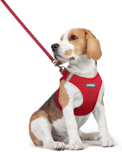 Vista 151 de rabbitgoo Arnés para perro de tamaño pequeño y juego de correa, chaleco Cachorros de manzana