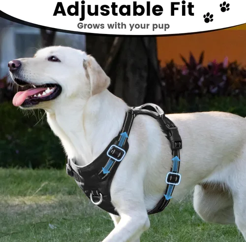 Vista 5 de Arnés sin tirones para perro, chaleco reflectante para cachorros para perros pequeños, medianos y grandes (negro, XS)