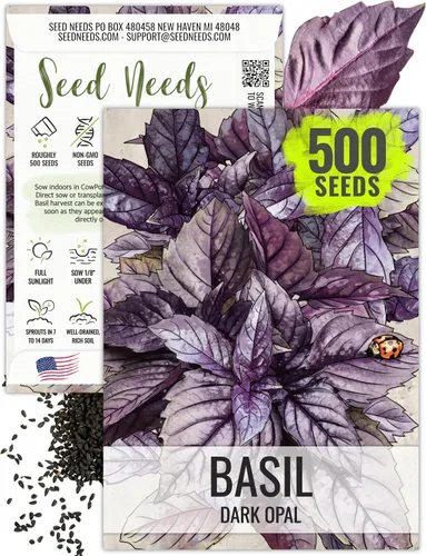 Vista 22 de Seed Needs Semillas de albahaca italiana para plantar hierbas tradicionales sin OMG, 1 paquete