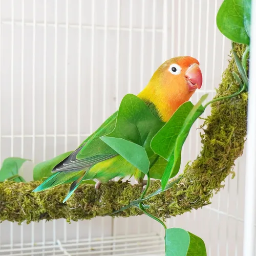 Vista 2 de Perchas para pájaros flexibles de 25 pulgadas, juguetes para pájaros, accesorios ideales para jaula de pájaros