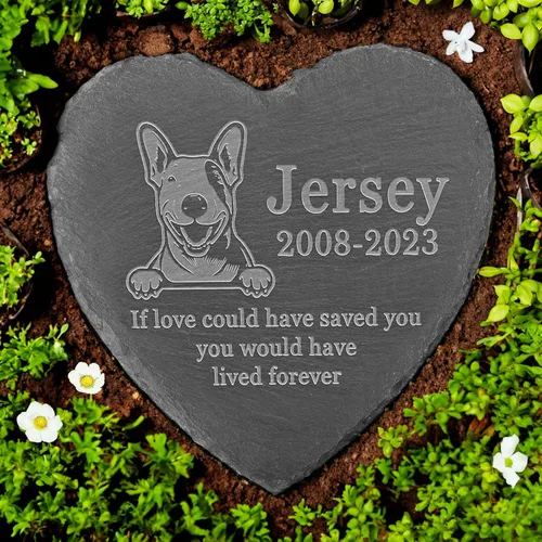 Vista 34 de Memorial personalizado de American Staffordshire Terrier, lápida de American Staffordshire Terrier, condolencias por pérdida de American