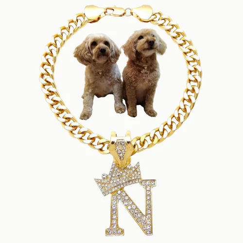 Vista 9 de Collar de cadena con letra inicial cubana para perro, collar de cadena para mascotas, gato, collar para cachorro (S, 25 cm)