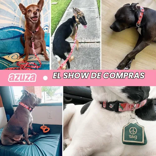 Vista 6 de azuza Juego de collar y correa para perro, collar de nailon y correa a juego para perros pequeños, fresa