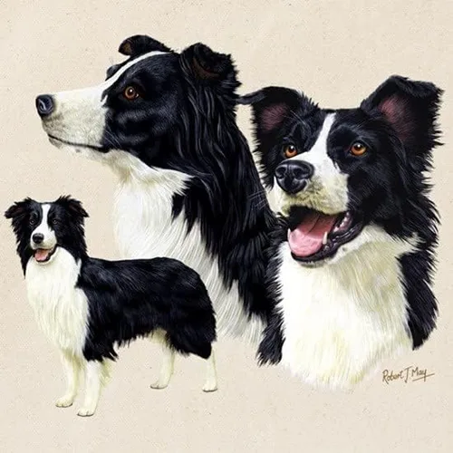 Vista 2 de CafePress Border Collie - Bolsa de lona natural, bolsa de compras reutilizable