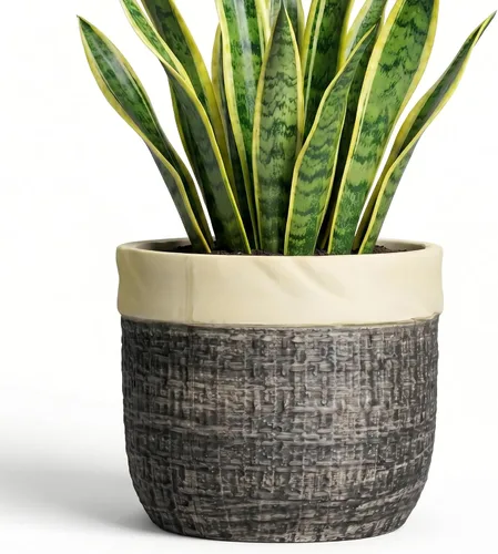Vista 21 de Macetas de cerámica para plantas, maceta de 6 pulgadas para plantas suculentas de interior, macetas redondas con orificio de drenaje, macetas Azul