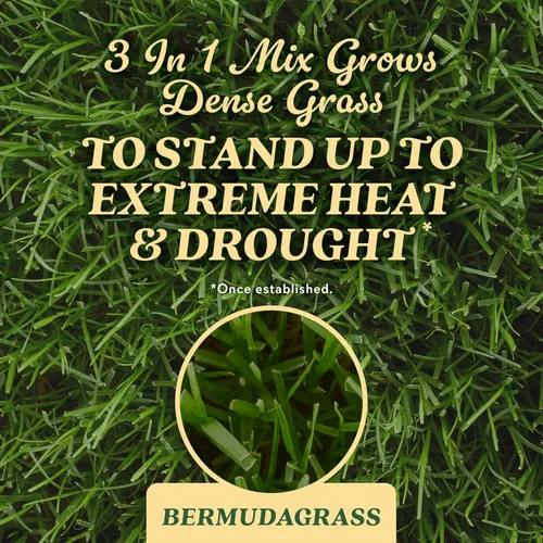 Vista 5 de O.M. Scott and Sons Bermudagrass - Semilla de césped, fertilizante y mejorador del suelo, tolerante a la sequía una vez establecida, cubre hasta