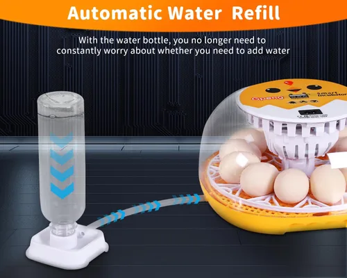 Vista 2 de Gpeng Incubadora de huevos, incubadora de 12 huevos con giro automático de huevos, control automático de temperatura, para incubar pollo, ganso