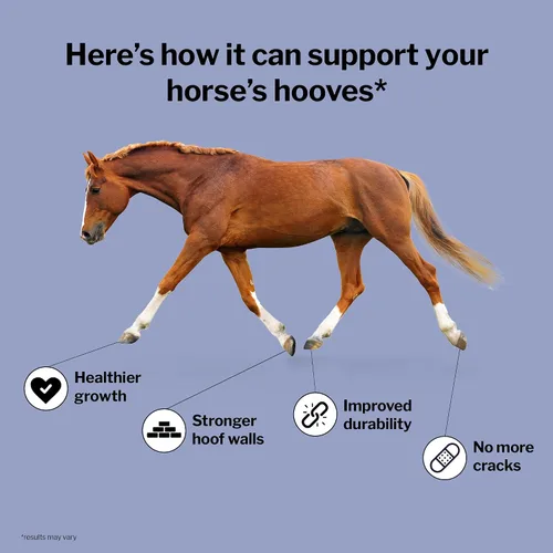Vista 4 de Formula 707 Hoof Health Suplemento equino Bolsa de 5 libras – 80 porciones – Biotina, aminoácidos y minerales para mejorar y apoyar las pezuñas
