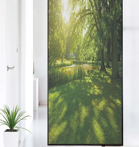 Vista 24 de Película decorativa de privacidad para ventana, control de calor, bloqueo solar, protección UV, diseño de bosque de abedul, adherencia estática