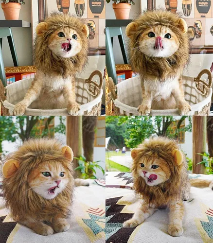 Vista 3 de Peluca para disfraz de gatos y perros Lion Mane, ajustable, lavable y cómoda, ropa de perro para Halloween, Navidad o Pascua , m, Gris