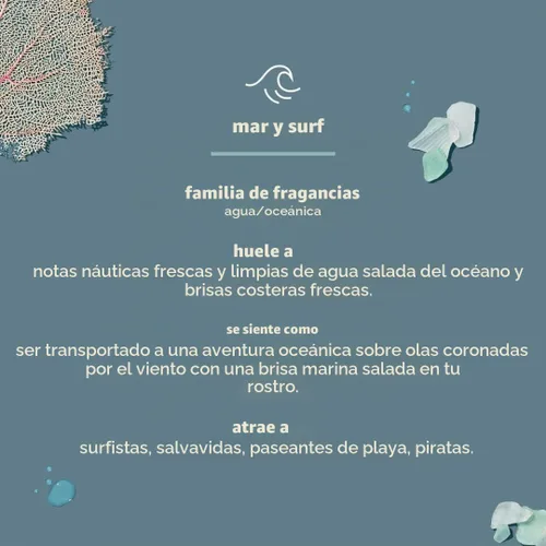 Vista 6 de Method Trío de lavado corporal, gel de ducha hidratante, gel de ducha diario y limpiador corporal a base de plantas, Pure Peace, Sea + Surf, Simply