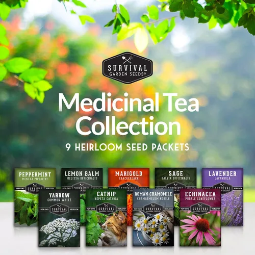 Vista 2 de Semillas de hierbas para té medicinal para sembrar Paquete de 9 variedades de hierbas autóctonas, sin OMG – Cultive tés herbales, remedios