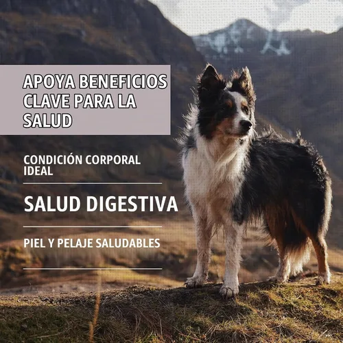 Vista 3 de ORIJEN Amazing Grains WHOLEPREY - Alimento seco para perros, bolsa de 4 libras
