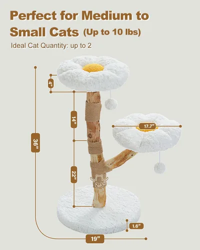 Vista 8 de MUTTROS Árbol de gato de madera con flores, torre de gato moderna con ramas de madera real, muebles de lujo boho con poste para rascar y 2 perchas