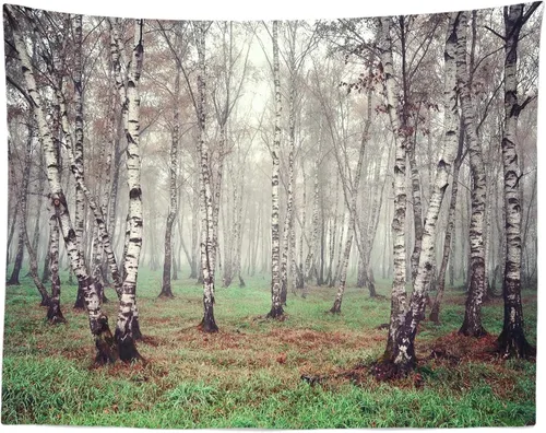 Vista 3 de Telón de fondo de tela de 5 x 3 pies con temática de bosque natural, fotografía, árbol de abedul, jungla verde hierba, fondo de paisaje de verano