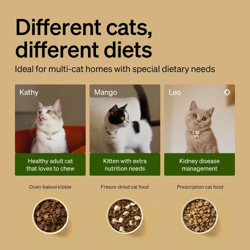 Vista 6 de PETLIBRO Alimentador automático RFID para gatos con 6 paquetes de bolsa desecante de alimentos para mascotas, sensor de collar para comidas