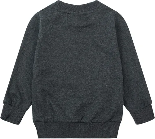 Vista 2 de Sudaderas de algodón para niños pequeños, camisetas casuales de manga larga, ropa de invierno para niños, suéter 2T-8T