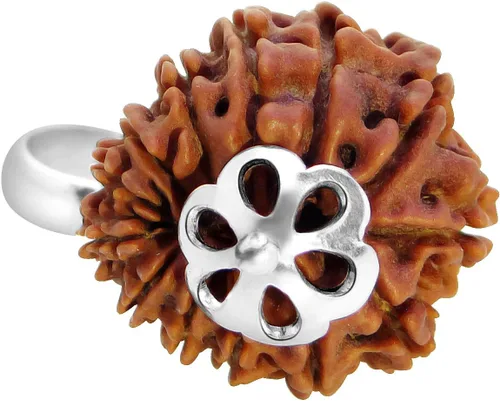 Vista 4 de 13 Mukhi Rudraksha - Colgante de plata 925 Thirteen Mukhi Nepali Rudraksha Cuentas sueltas Rudrakalagni Unisex tanto para hombres como