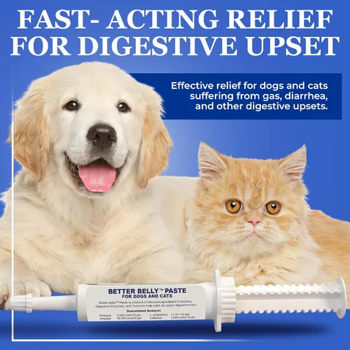 Vista 2 de Soluciones de Salud Animal Probióticos Digestivo Eze Pasta Perros Gatos 15gm