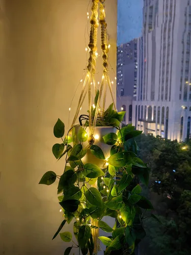 Vista 5 de Paquete de 2 colgadores de macramé para plantas con luces, cesta colgante para macetas de interior con cuentas de madera, soporte para macetas
