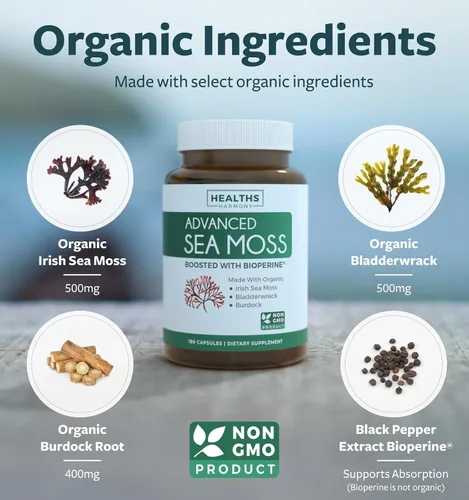 Vista 4 de Paquete combinado de musgo marino irlandés y Omega 7 (suministro de 3 meses) - Musgo marino irlandés orgánico - Suplemento vegano crudo