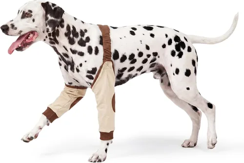 Vista 8 de Funda para patas de perro para patas delanteras, almohadillas protectoras Rosa