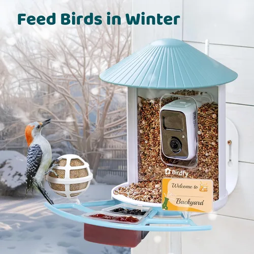 Vista 4 de NETVUE by Birdfy Pro Perch - Percha de extensión más amplia para complementos de bricolaje, incluyendo bola de sebo, mini comedero para colibríes
