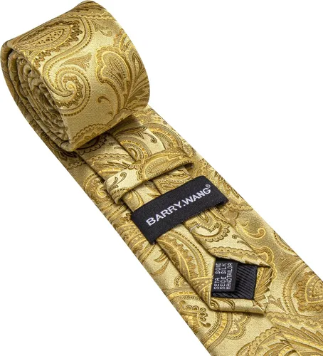 Vista 239 de Barry.Wang - Juego de corbata de seda para hombre, diseño de cachemira, pañuelo y gemelos de bolsillo