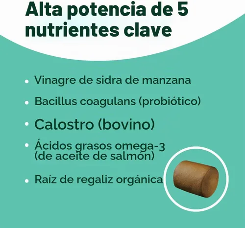 Vista 4 de Masticables para Alergias de Perros con Probióticos Masticables para Alergias Estacionales para Perros con Aceite de Salmón Salvaje de Alaska