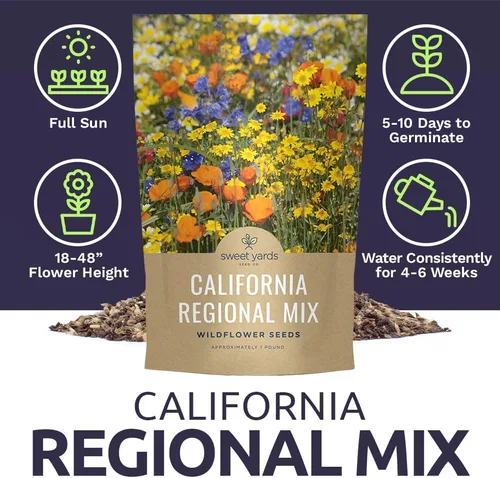 Vista 7 de Mezcla de nativos de California - Bolsa de 1 libra a granel - Más de 120.000 semillas nativas - Polinización abierta y sin OMG