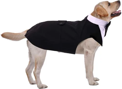 Vista 7 de PUMYPOREITY Traje de esmoquin para perro pequeño, esmoquin y bandana para gatos para Chihuahua, Boston Terrier, bichón, corgi, pomerania, 2 Negro