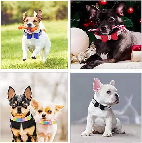 Vista 4 de Hotlion Collar de Perro con Diamantes de Imitación y Cristales, Collar Bonito y Deslumbrante de Cuerpo de Diamante para Cachorros, Gatito, Mascotas