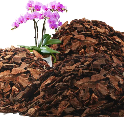 Vista 17 de AVALUTION Corteza para macetas de orquídeas: corteza de orquídea orgánica de 3 cuartos para plantas, todos los chips de madera de corteza de pino
