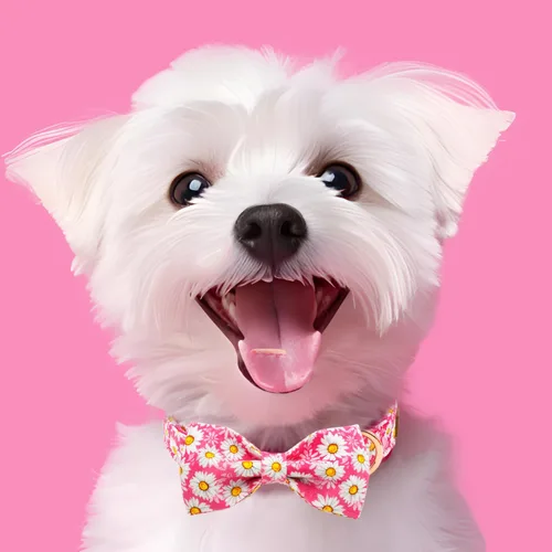 Vista 4 de Tunkoo Pink Daisy - Collar para perro con corbata de lazo de flores, collar ajustable de algodón de alta calidad, hebilla de metal duradera