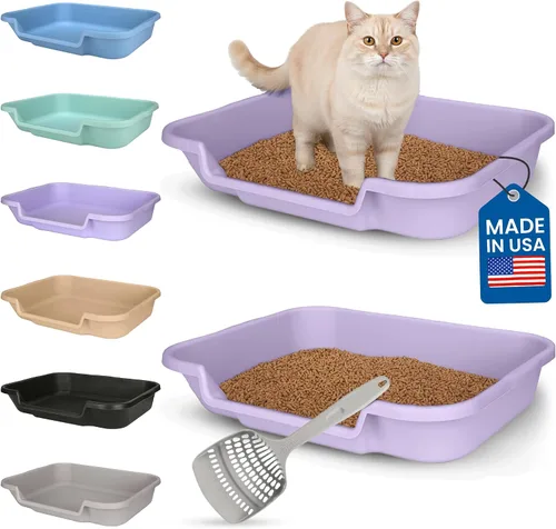 Vista 50 de KittyGoHere - Caja de arena para gatos mayores, sartén pequeña con cuchara jumbo de mango largo, caja de arena para gatos de entrada baja, ligera